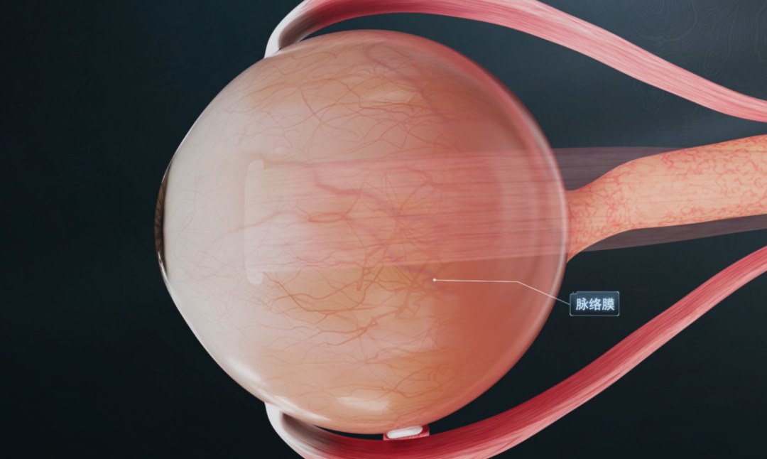 图片.png 图片.png