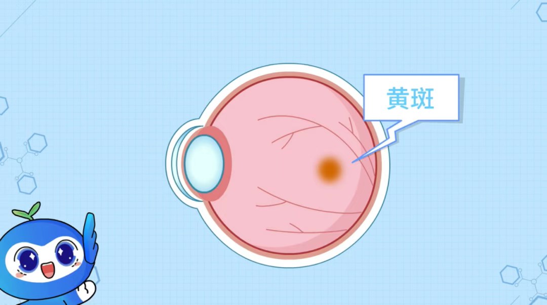 图片.png 图片.png